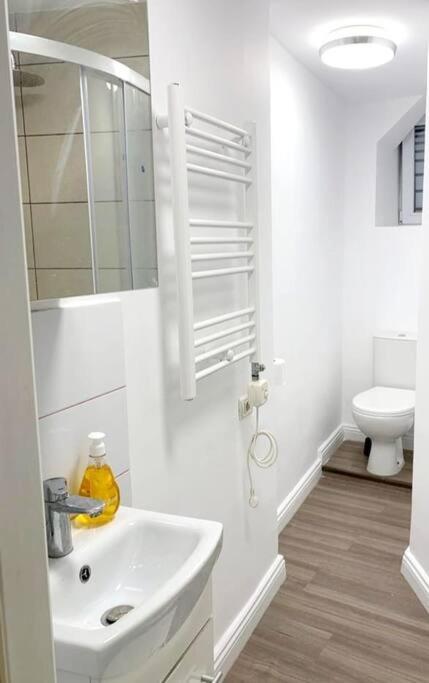 Central Studio Flat Bucharest Exterior photo